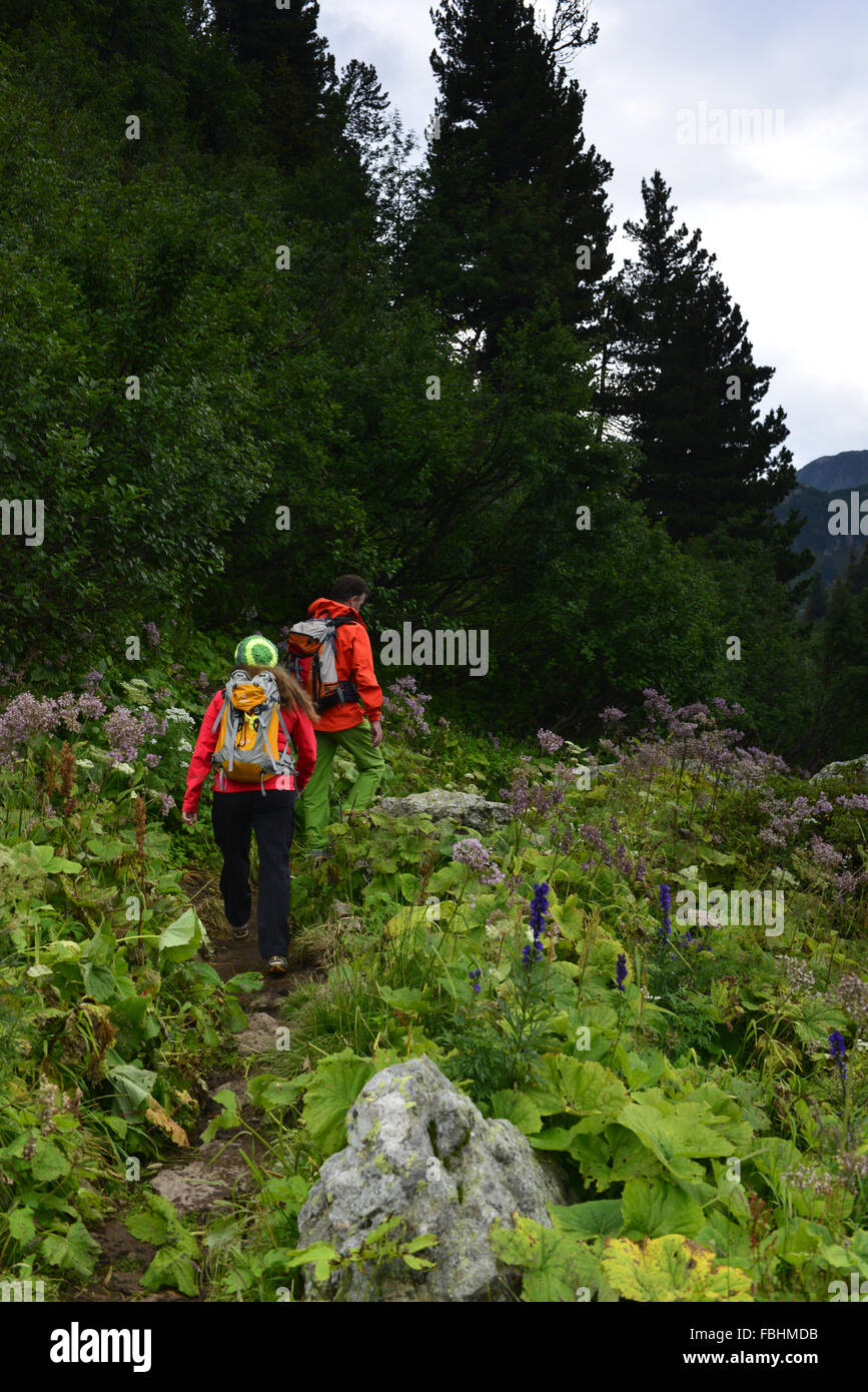 two hikers on Alpine meadow Stock Photo - Alamy