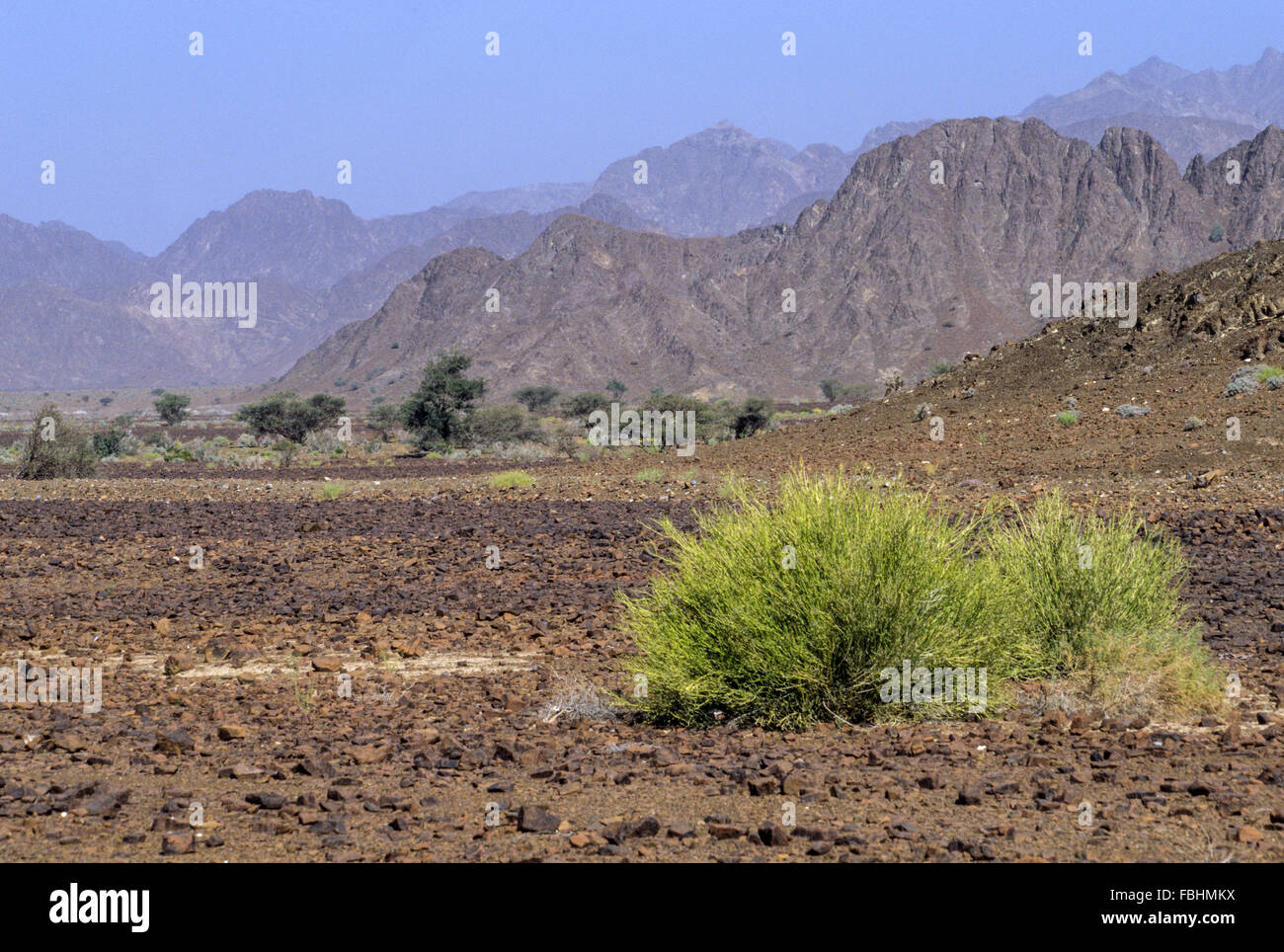 Rusraq, Oman.  Landscape near Rustaq. Stock Photo