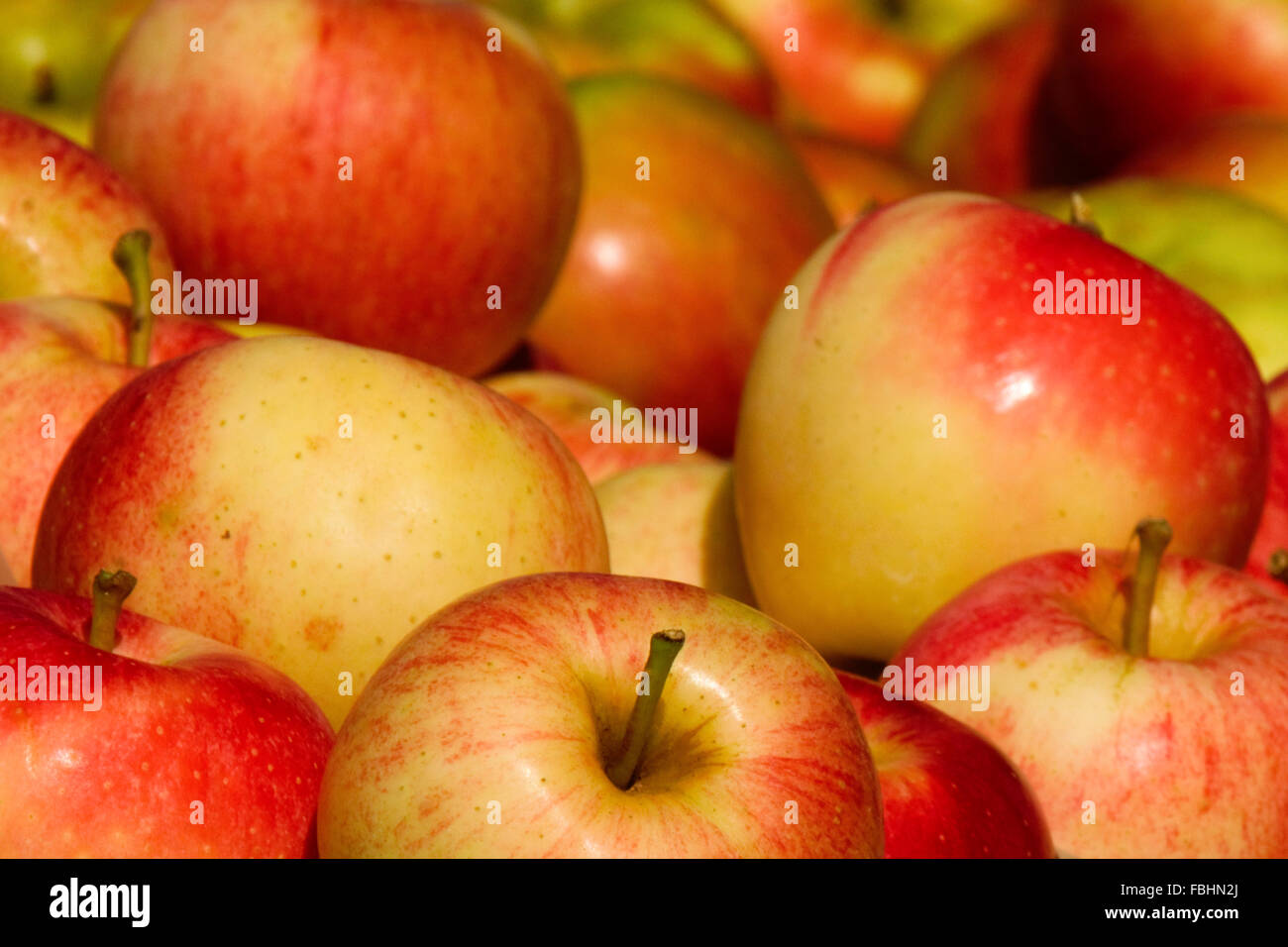 Apples for sale at a local farmers market Stock Photo Alamy