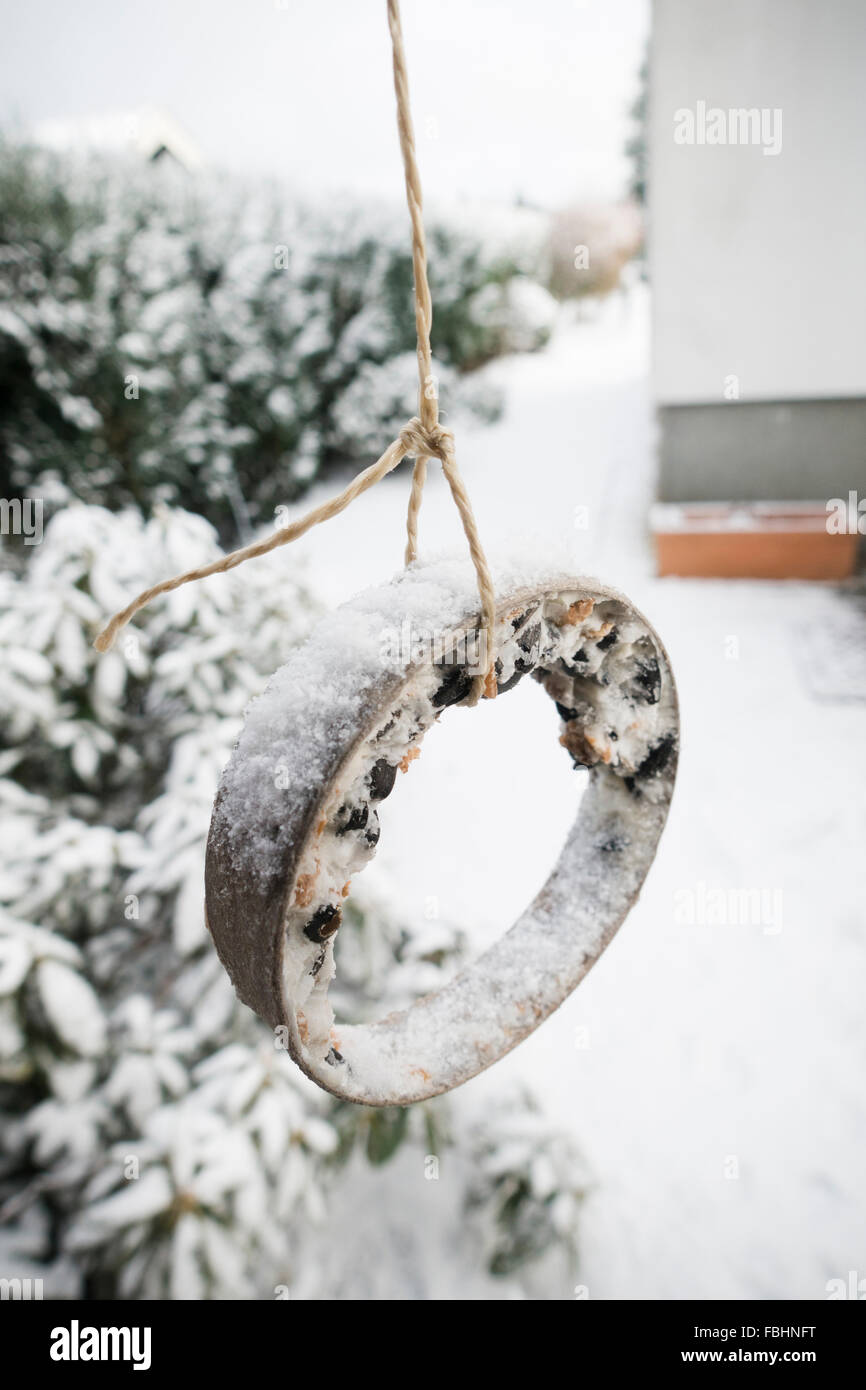 Bacon fat bird hires stock photography and images Alamy