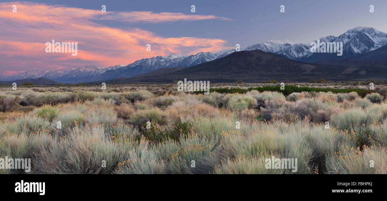 Owens River Valley, Sierra Nevada, California, USA Stock Photo - Alamy