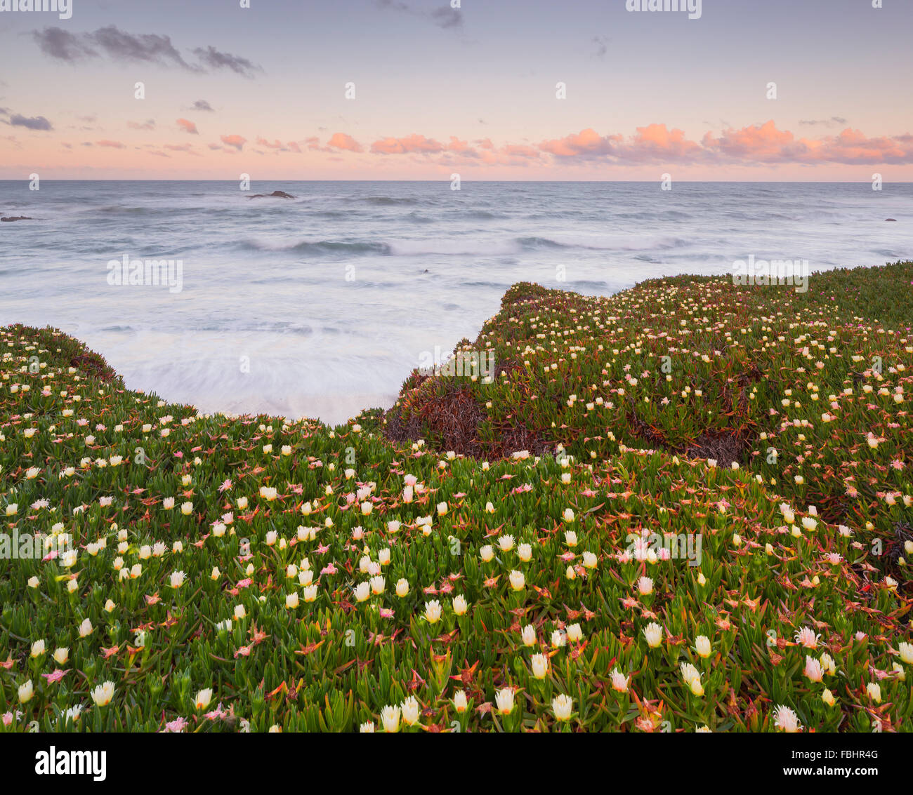Pigeon Point, Cabrillo highway 1, California, USA Stock Photo - Alamy