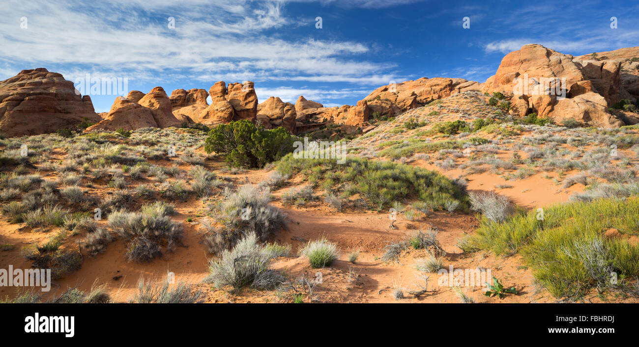 Sandstone formations in the Devils Garden, Arches National Park, Utah ...
