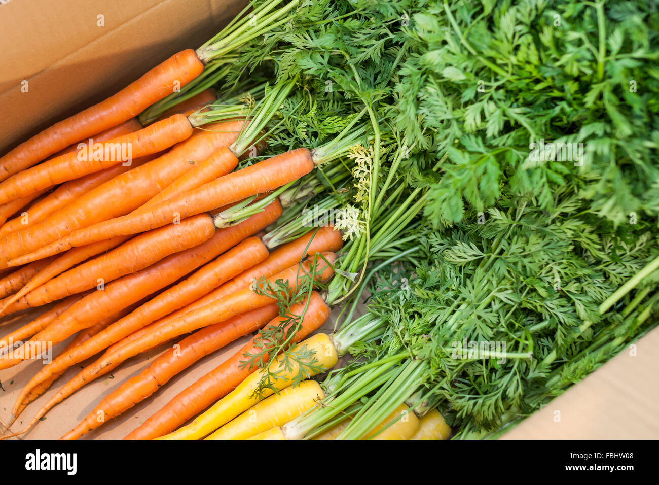 Carrot in box Stock Photo Alamy
