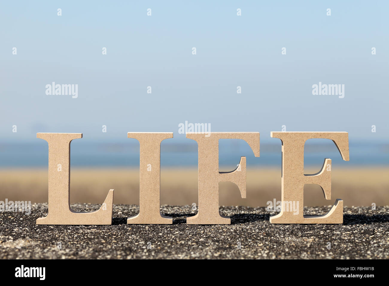 Word life made with wooden block wooden letters Stock Photo