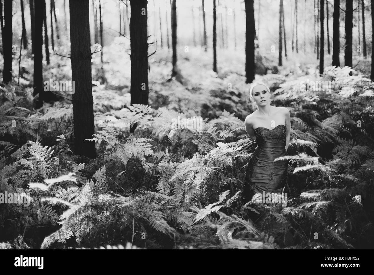 young woman with dress in forest Stock Photo - Alamy