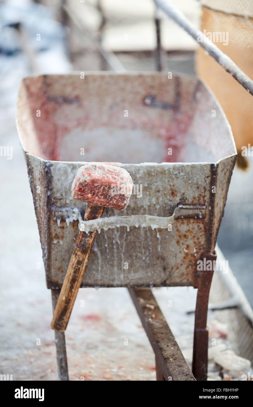 Frostscale hammer to stun fish with an ice crust hanging on metal trolley. Trout farming in winter, breeding for restaurants sale. Human cruelty towards animal life, harsh truth, food chain. Stock Photo