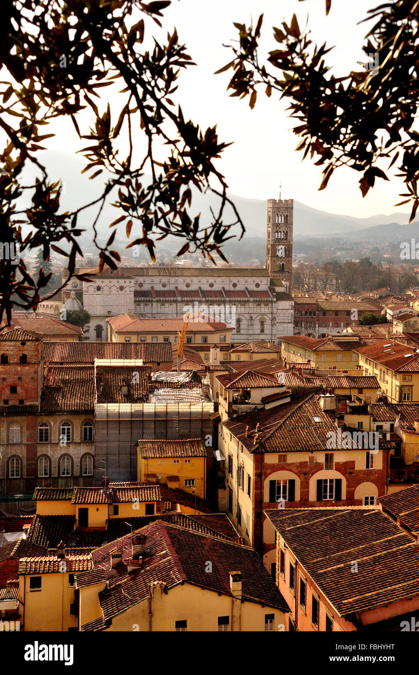 rooftop view over renaissance town of Lucca, Tuscany, Italy Stock Photo