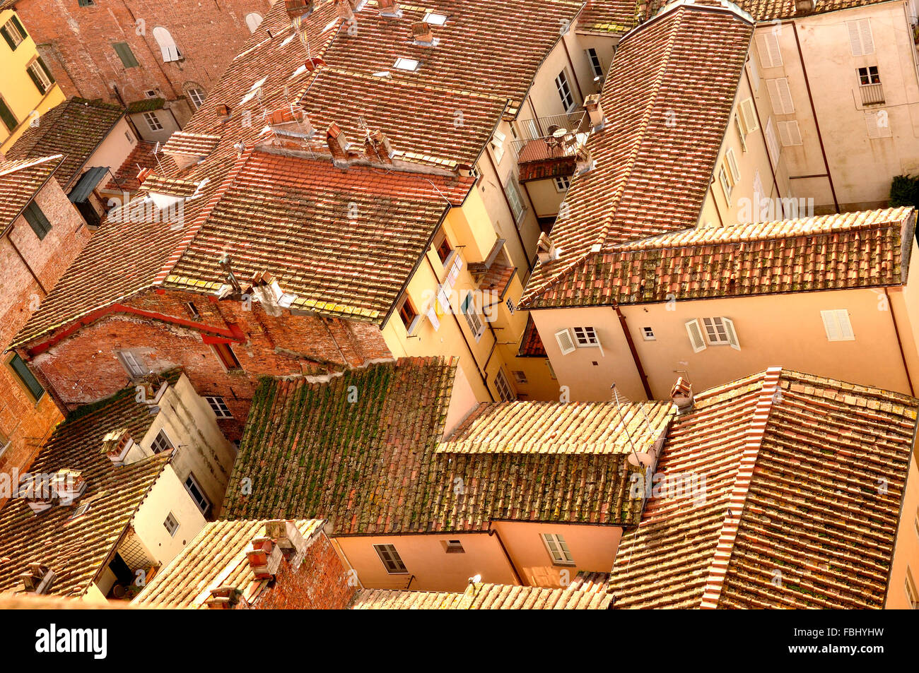 rooftop view from the Guinigi Tower over renaissance town of Lucca, Tuscany, Italy showing medieval tile roofs and interesting angles Stock Photo