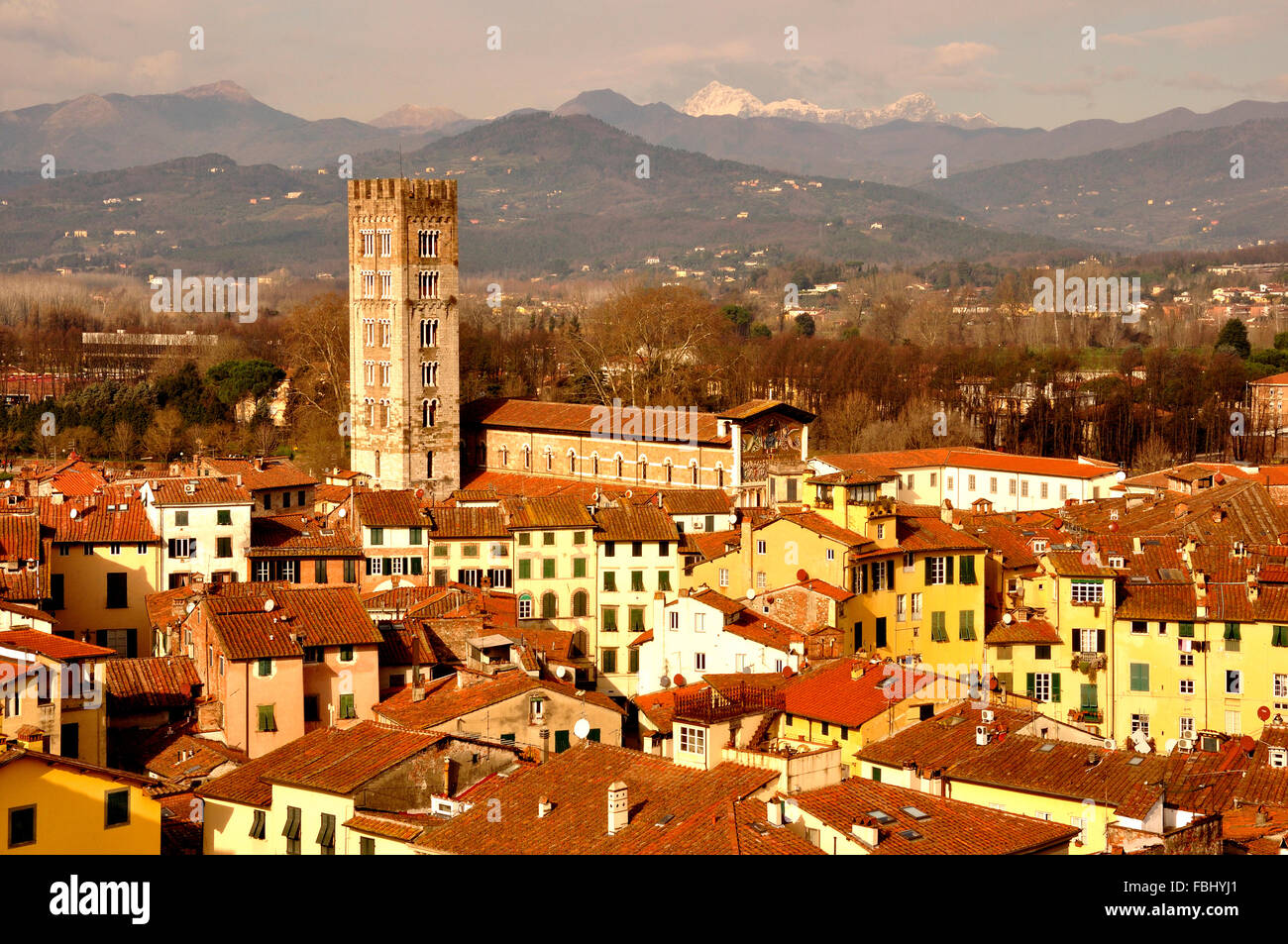 rooftop view over renaissance town of Lucca, Tuscany, Italy Stock Photo