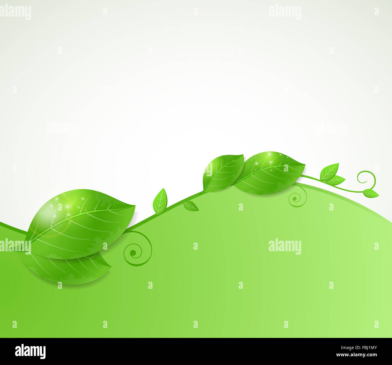 Abstract background with fresh green leaves Stock Photo - Alamy