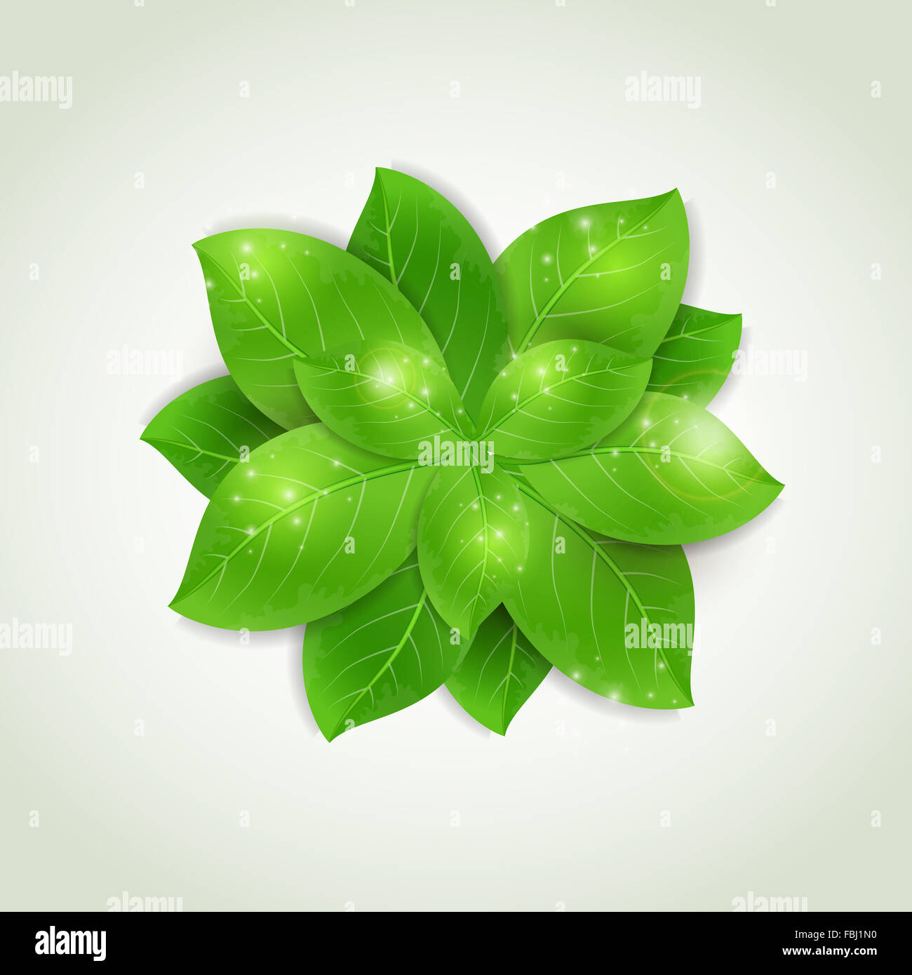 Abstract background with fresh green leaves Stock Photo - Alamy