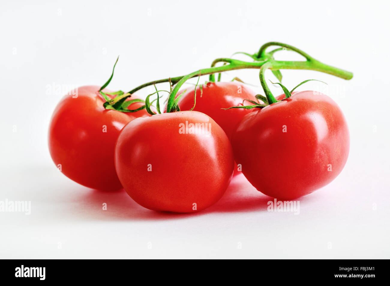 Delicious fresh ripe tomatoes. Shallow depth of field. Selective focus ...