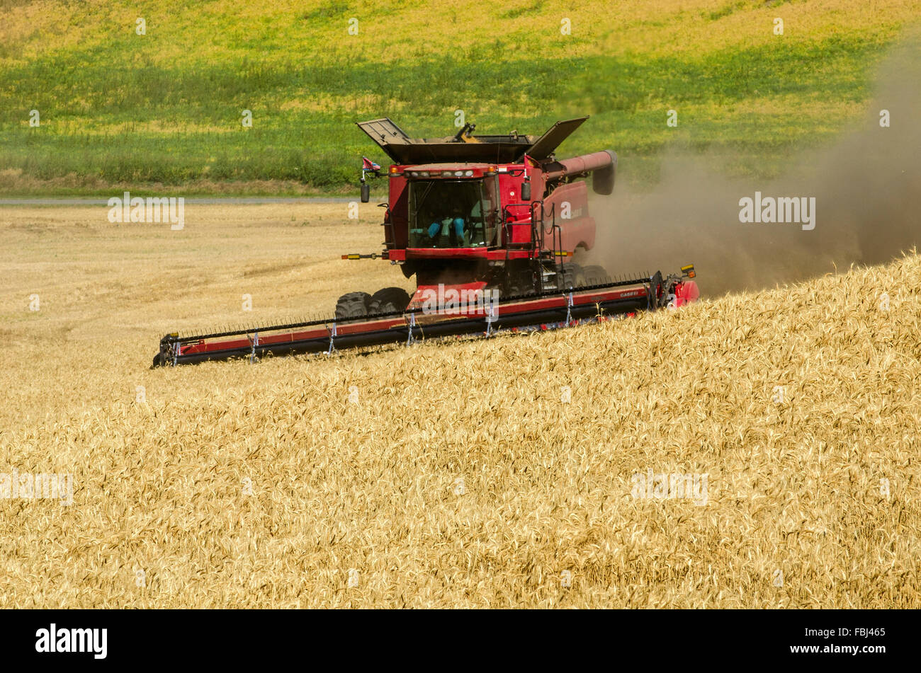 Case combine harvesting barley in the Palouse region of Washington Stock Photo
