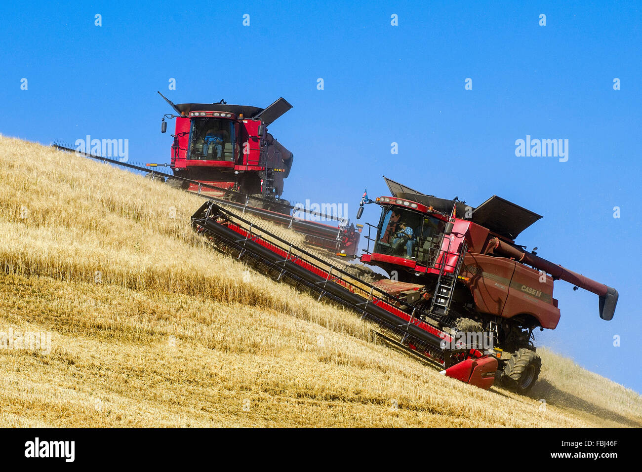 Case combines harvesting barley in the Palouse region of Washington Stock Photo