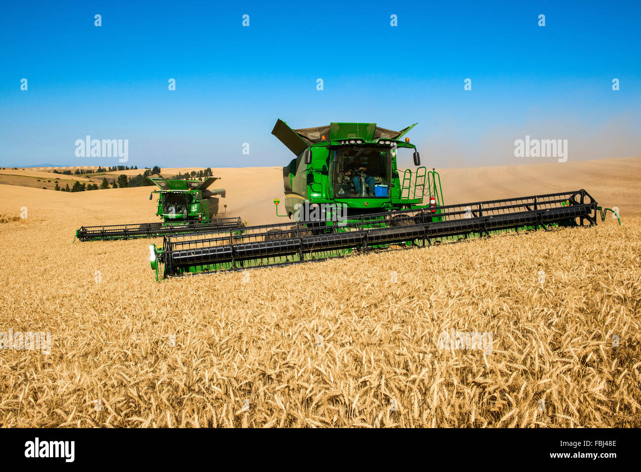 Multiple John Deere combines harvesting grain in the Palouse region of ...