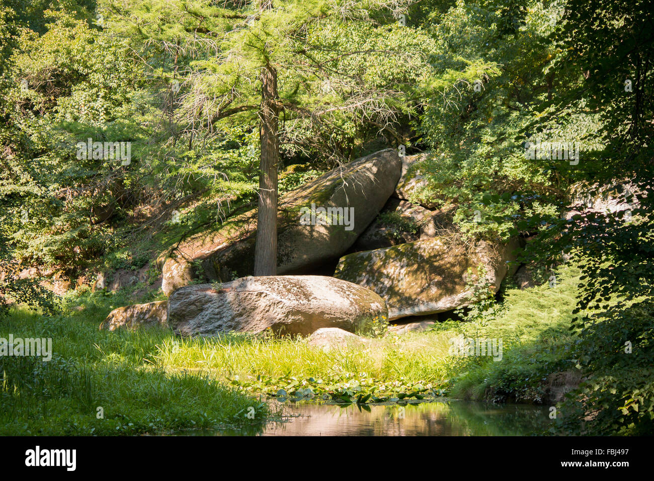 Beautiful green park in Ukraine. Summer Stock Photo - Alamy