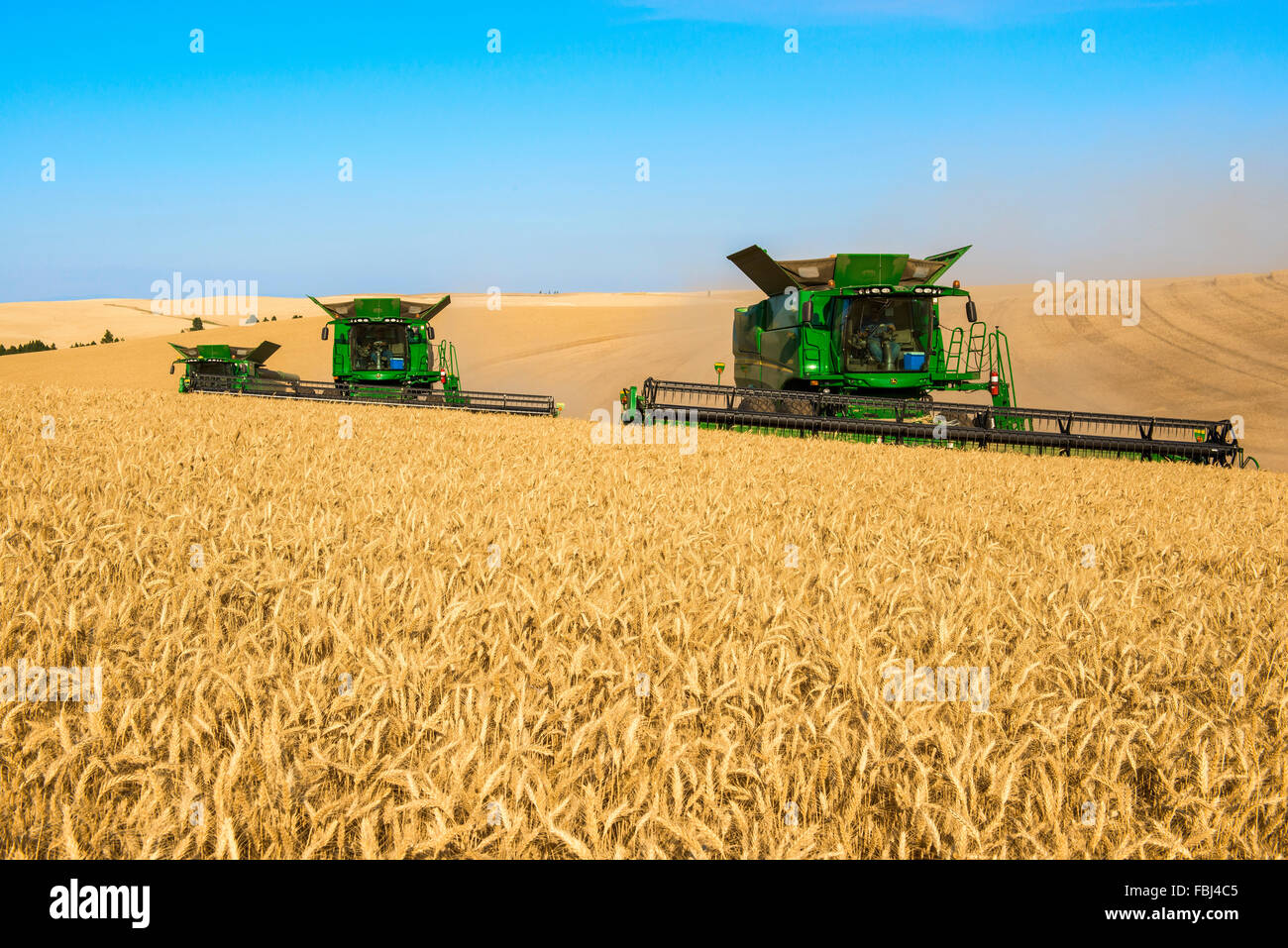 Multiple John Deere combines harvesting grain in the Palouse region of