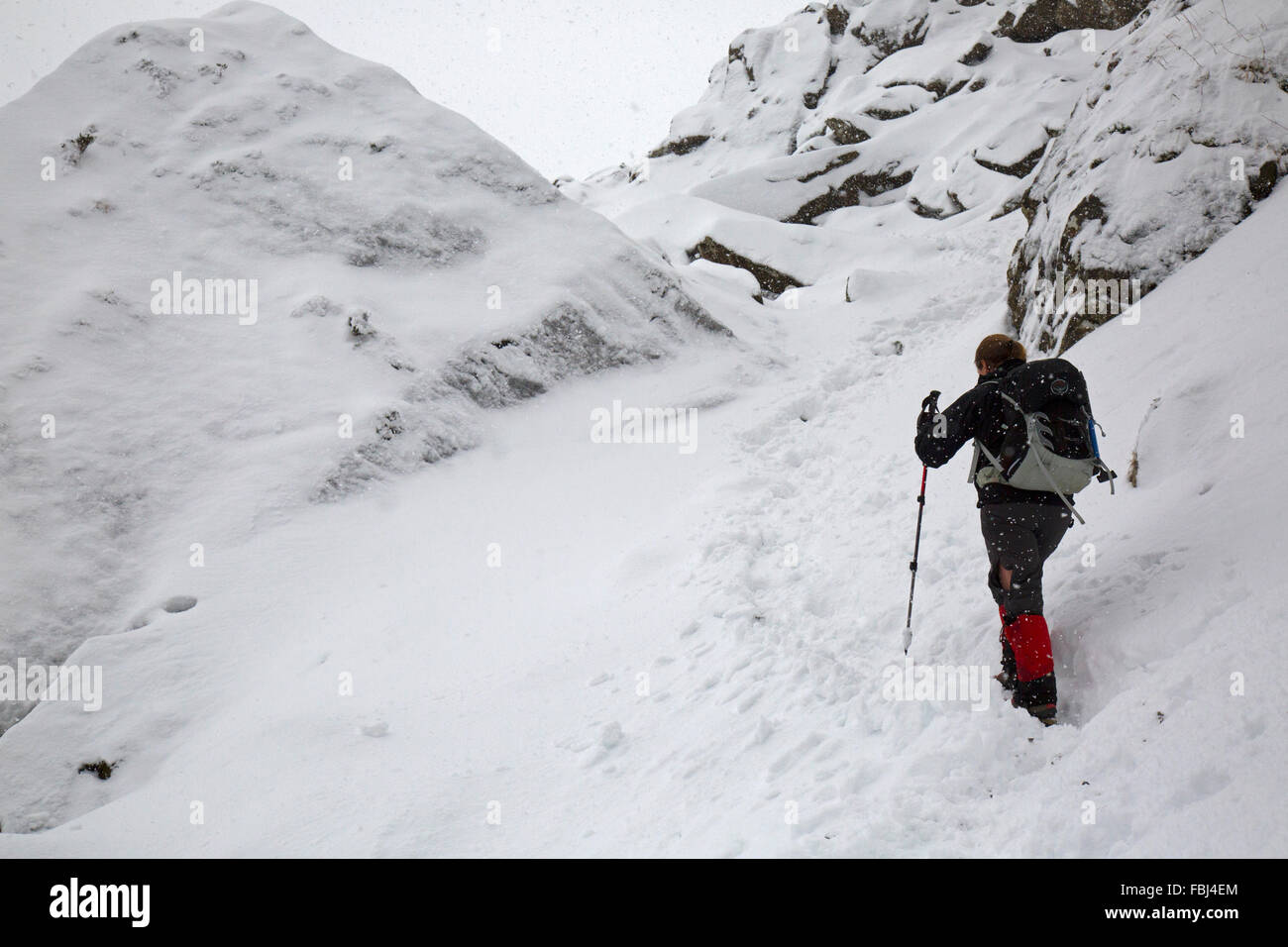 A female mountaineer ascends the Devil's Kitchen, a route in the Snowdonia National Park in North Wales in Winter. Stock Photo