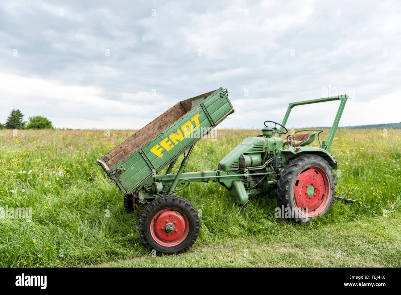 Michelstadt, Hessen, Germany, Fendt, Dieselross F 220 GT, year of  manufacture 1959, 19 HP, cubic capacity 1810 cubic centimetres Stock Photo  - Alamy