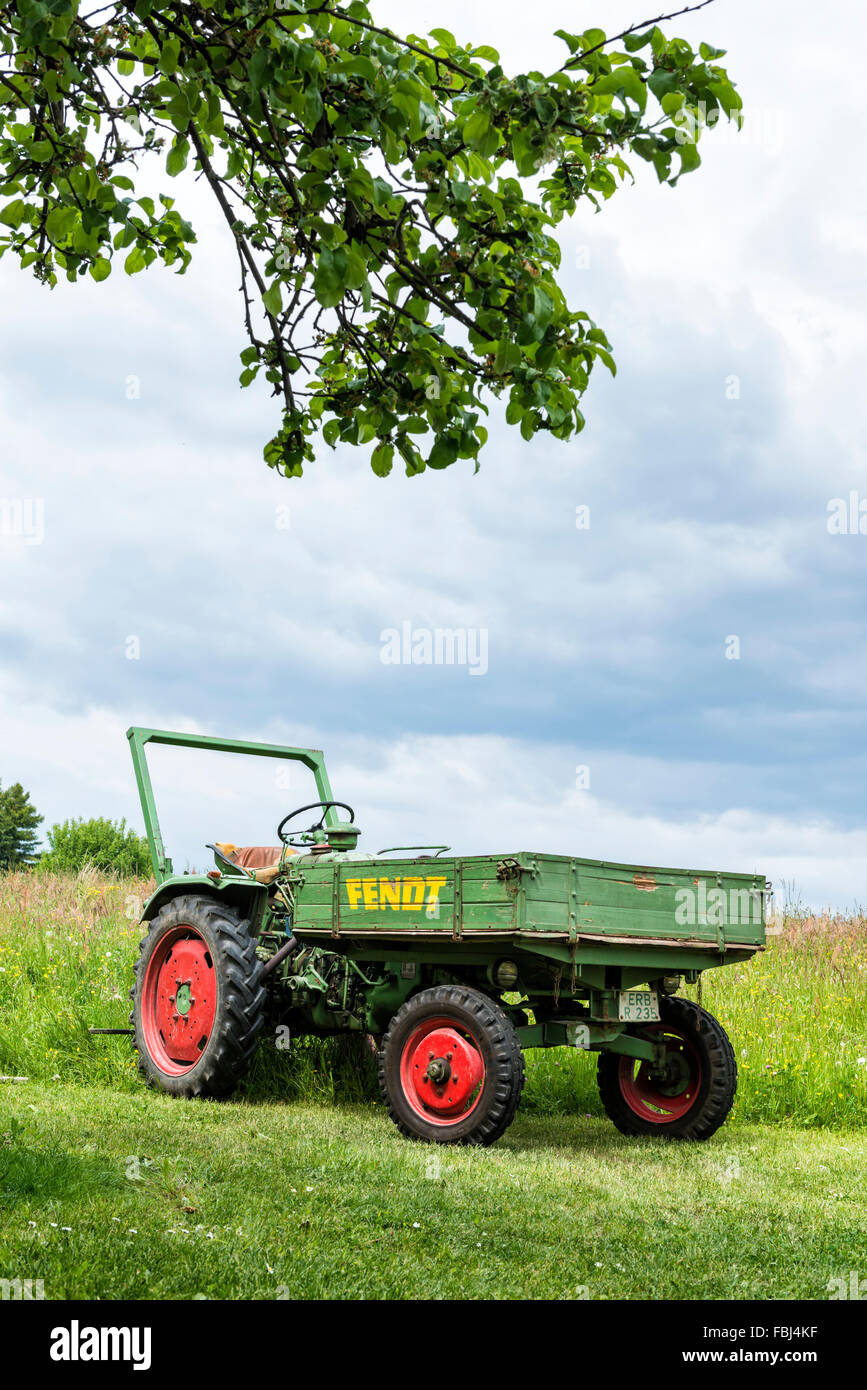 Michelstadt, Hessen, Germany, Fendt, Dieselross F 220 GT, year of manufacture 1959, 19 HP, cubic capacity 1810 cubic centimetres Stock Photo