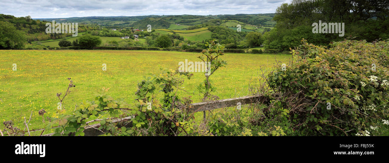 Summer, river Teign valley near Lower Ashton village, Teignbridge