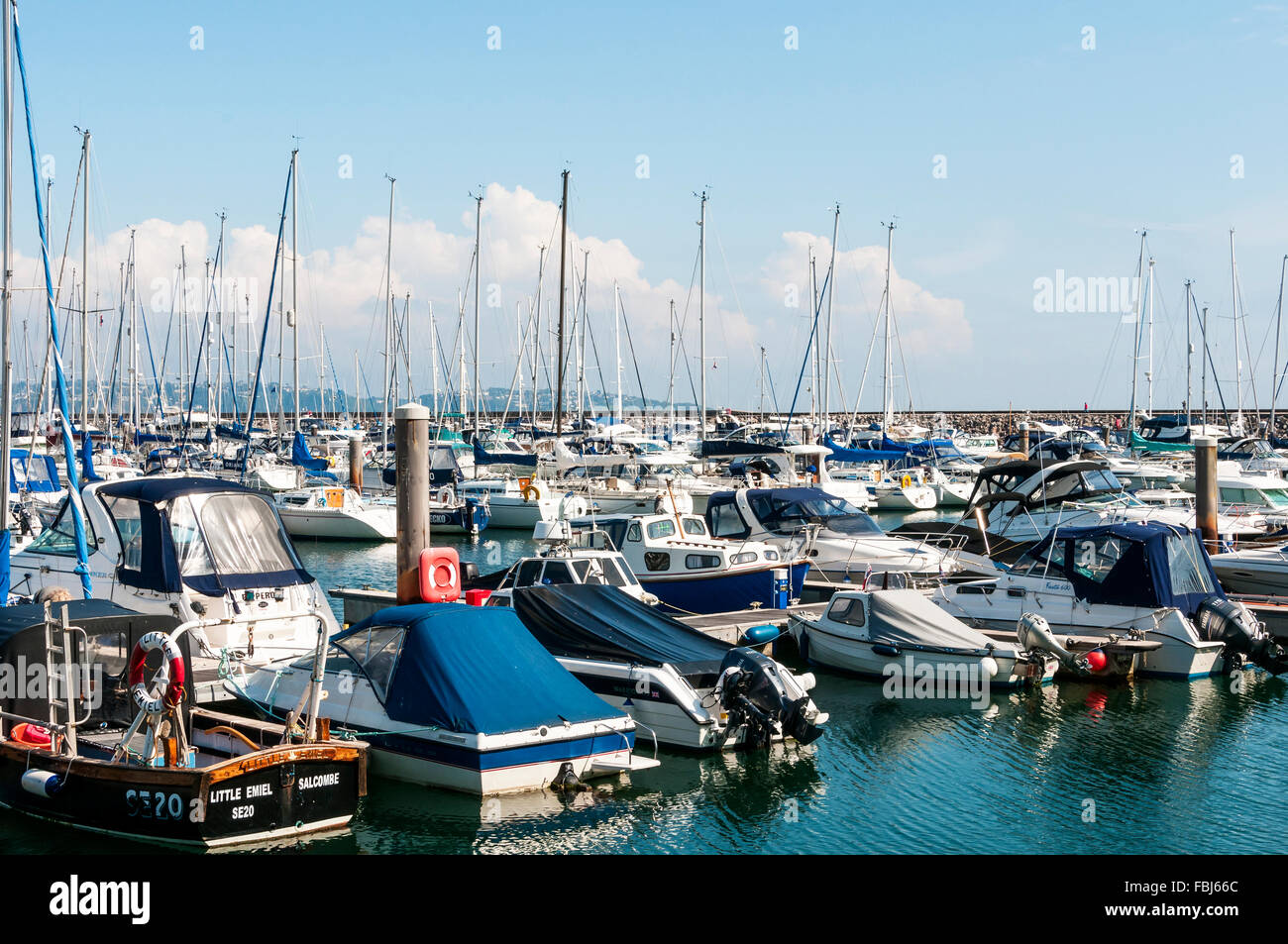 Small fishing and pleasure boats create a forest of masts and rigging