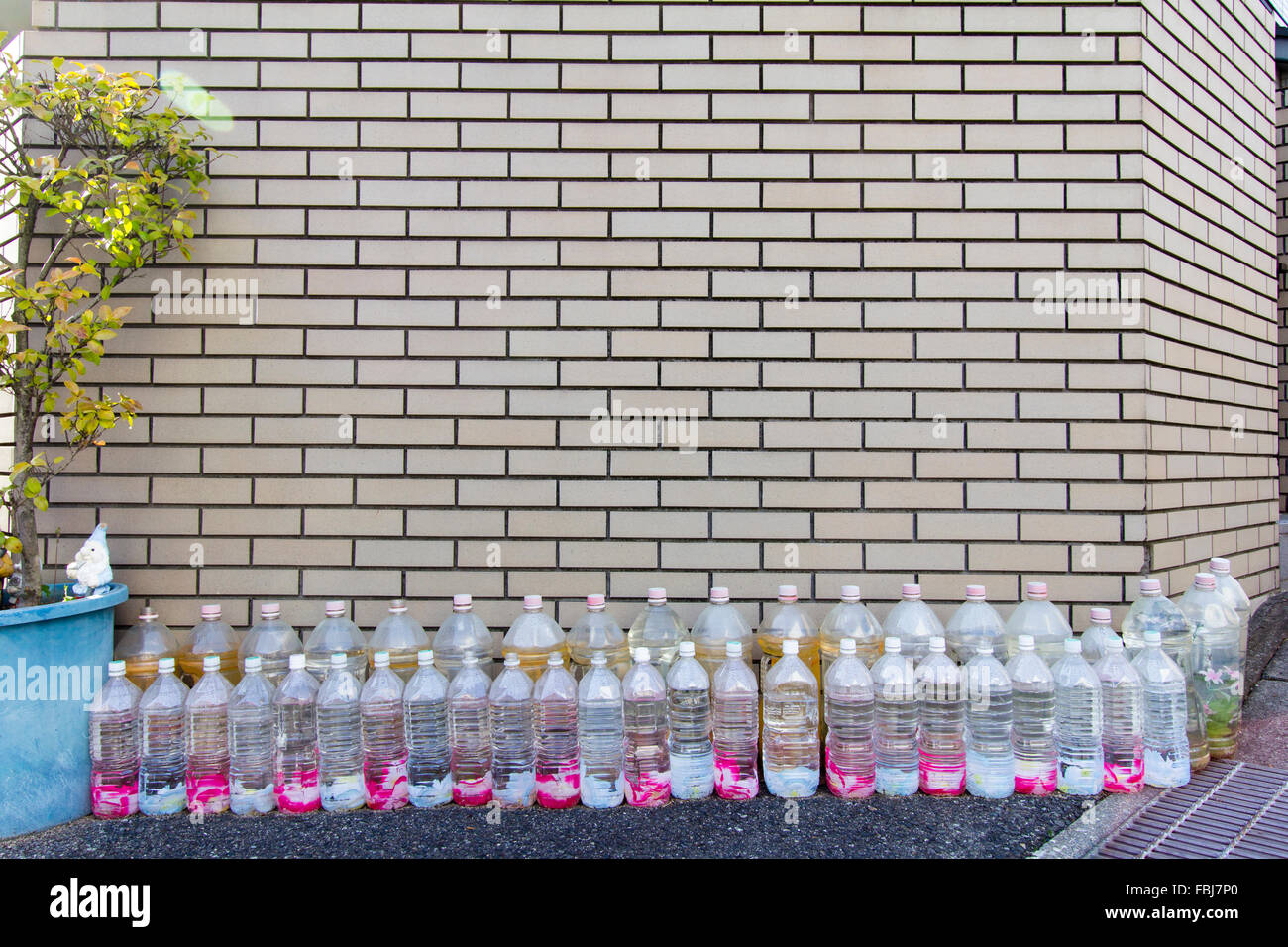 Japan, Nishinomiya, Shukugawa. Row of PET water filled bottles left outside boundaries of house with flowers and petals in, to deter cats. Stock Photo