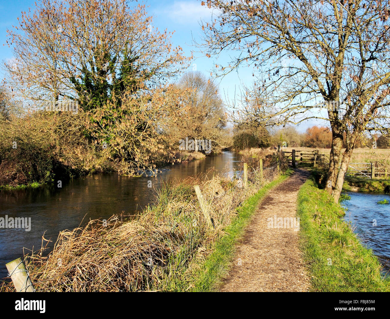The Itchen Way footpath seen between Hockley and Shawford near Winchester follows the River Itchen and Itchen Navigation. Stock Photo