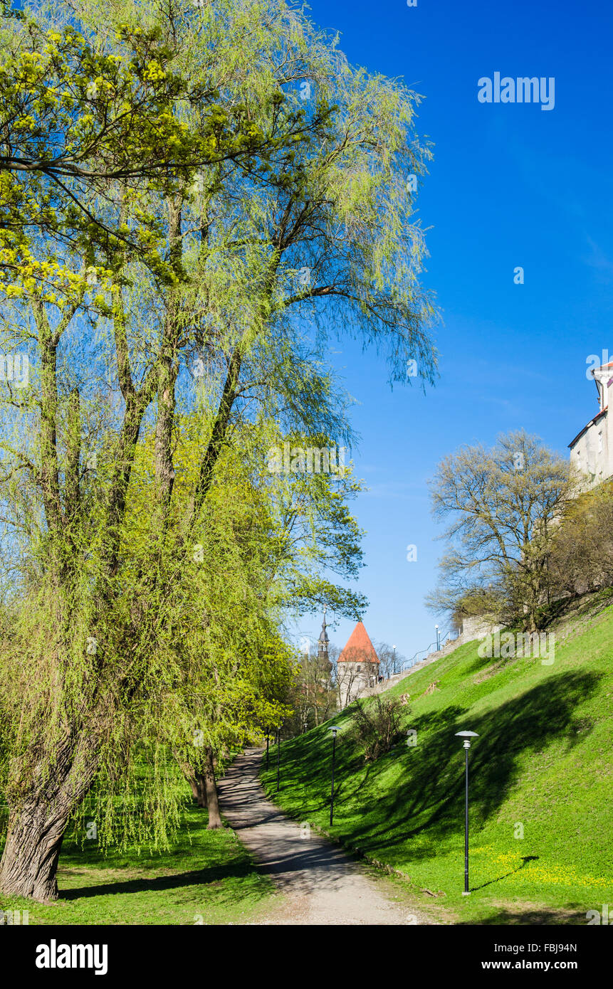 Park in Tallinn, a beautiful spring day Stock Photo