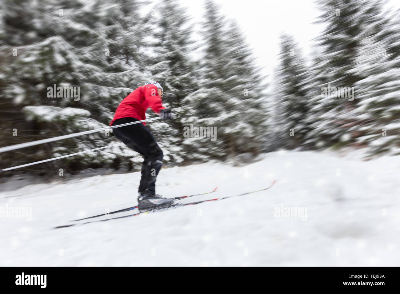 Crosscountry skier in blur motion Stock Photo Alamy
