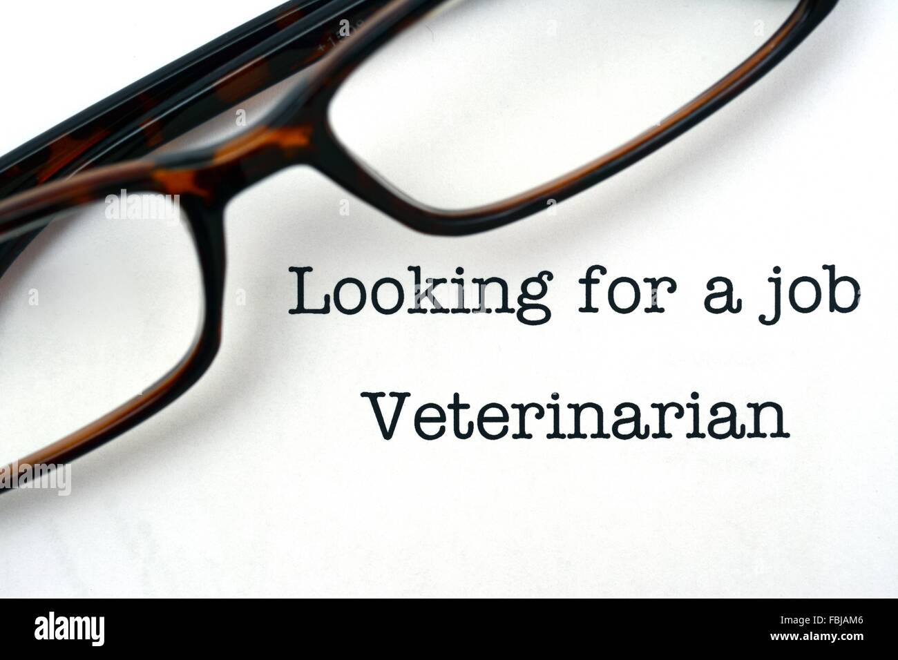 Looking for a job Veterinarian Stock Photo Alamy