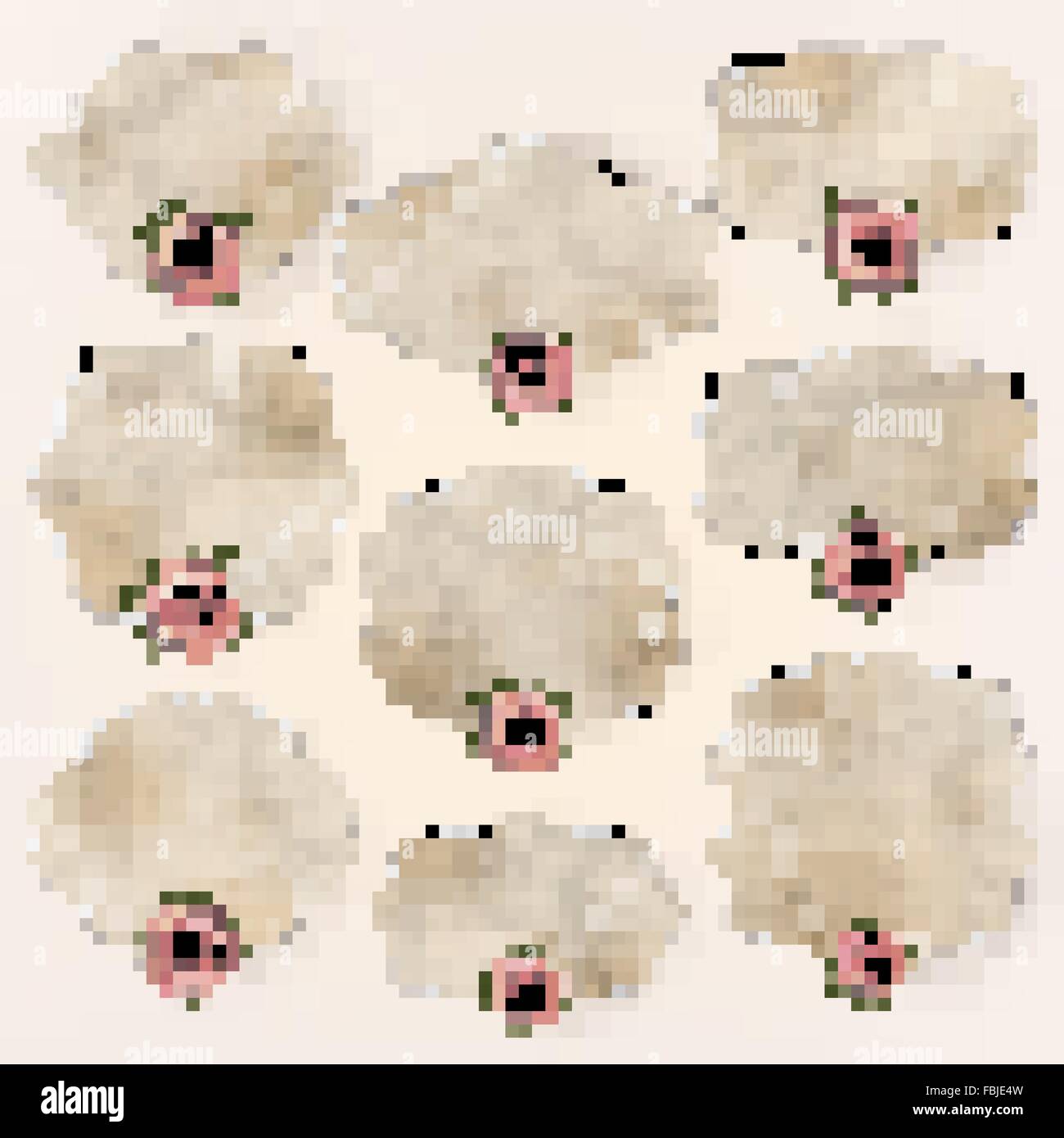 Vintage flower labels hi-res stock photography and images - Alamy