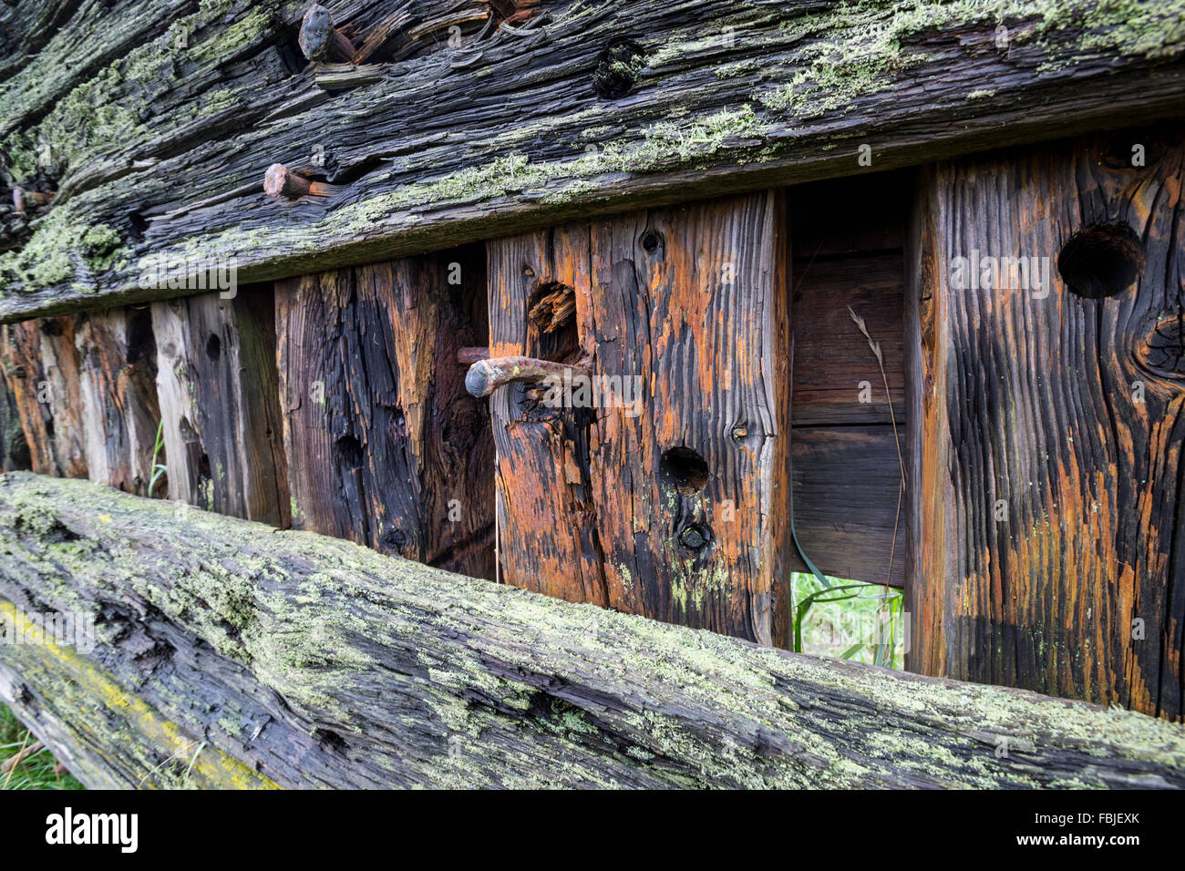Decaying wooden ships planking at the Purton Hulks ships graveyard at