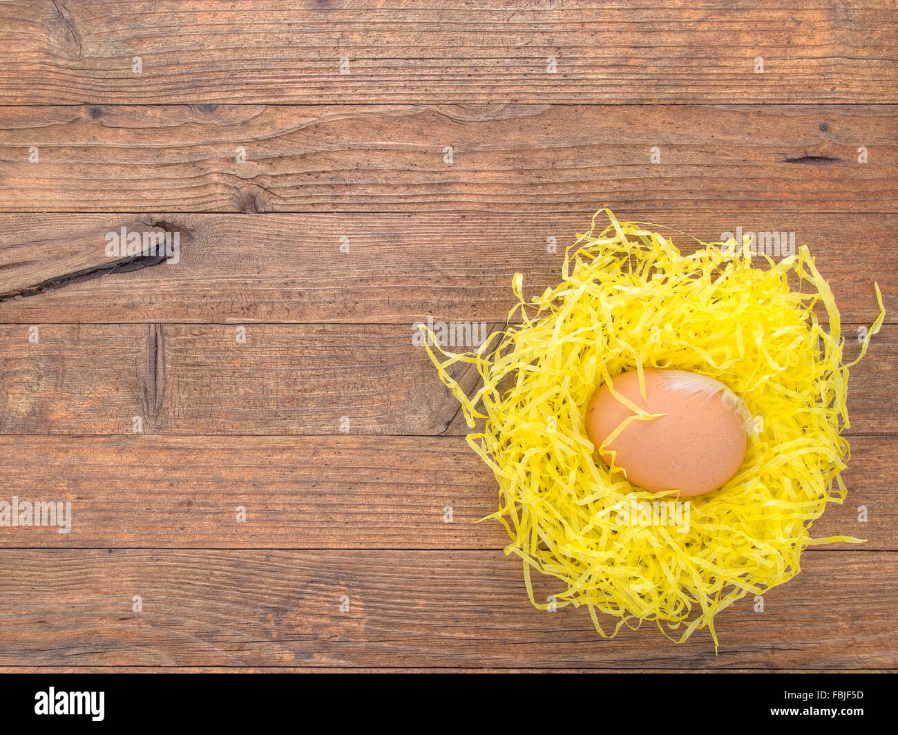 Fragile hen's egg in paper nest. Stock Photo