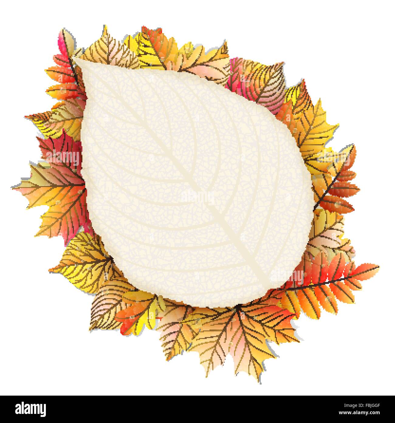 Autumn frame with fall leaf. EPS 10 Stock Vector Image & Art - Alamy