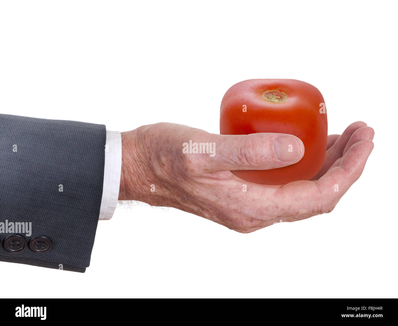 Geneticically modified tomato in man's hand, big business food concept. Stock Photo