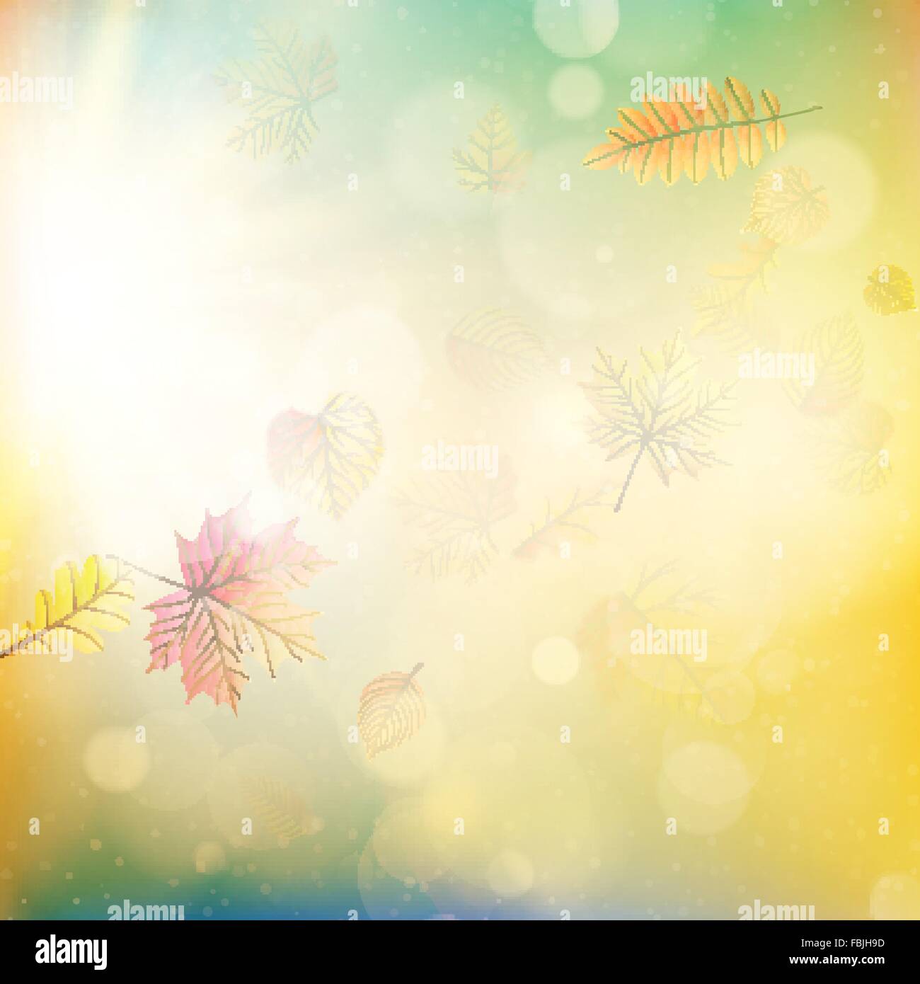 Burst of leaves hi res stock photography and images Alamy Burst of leaves hi res stock photography and images Alamy