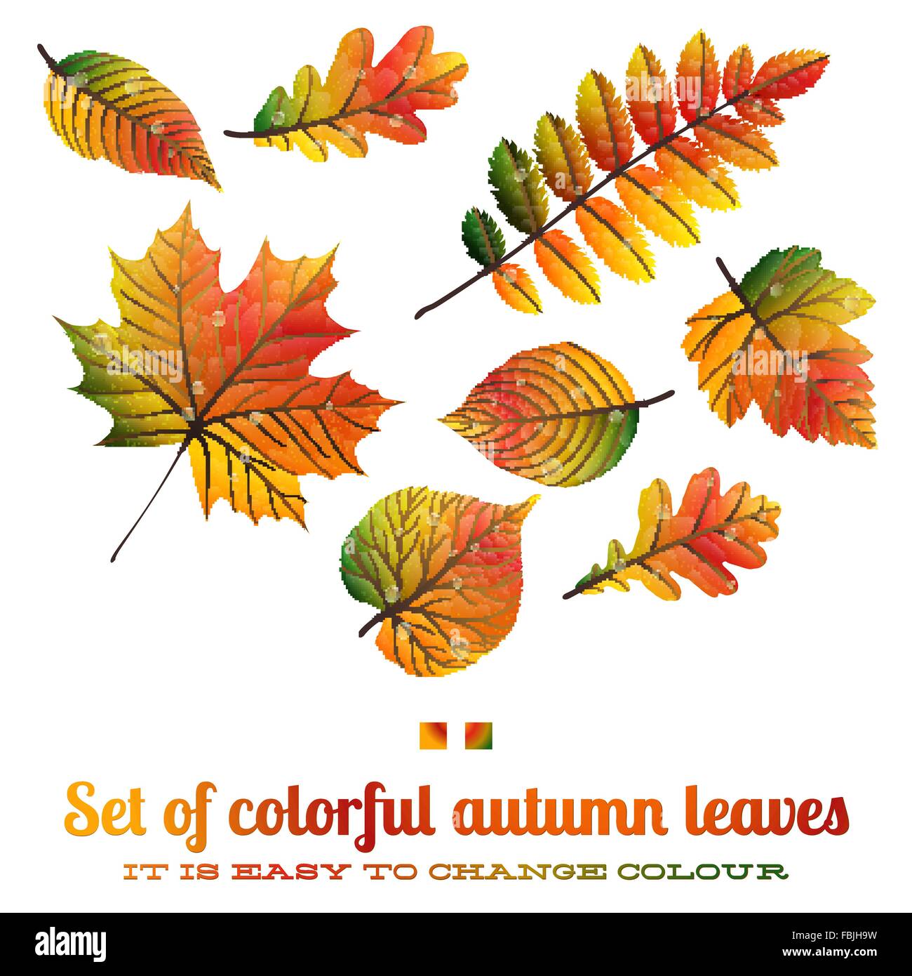 Set of colorful autumn leaves. EPS 10 Stock Vector Image & Art - Alamy