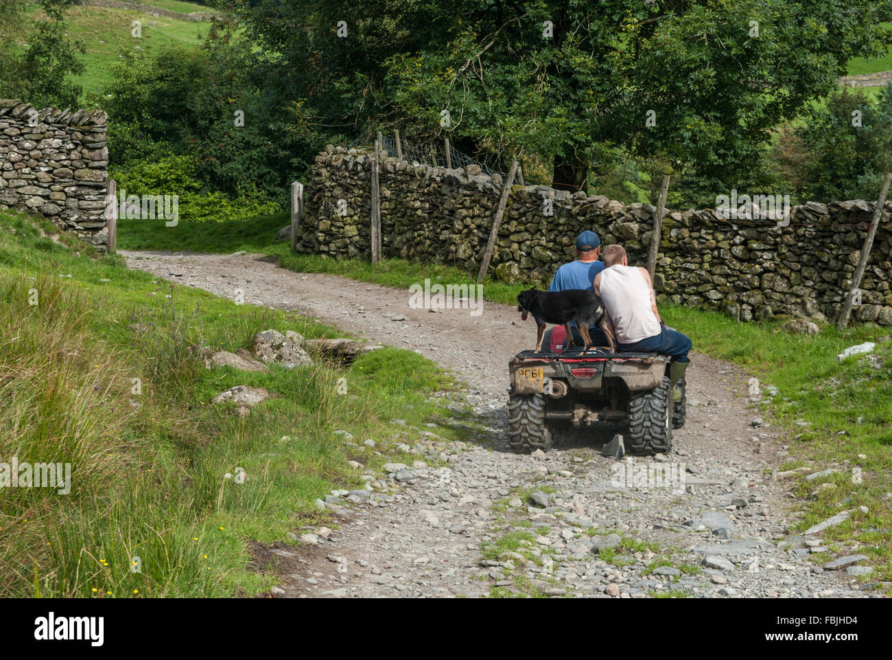 Cumbrian hill farmers on a quad bike in Kentmere Stock Photo