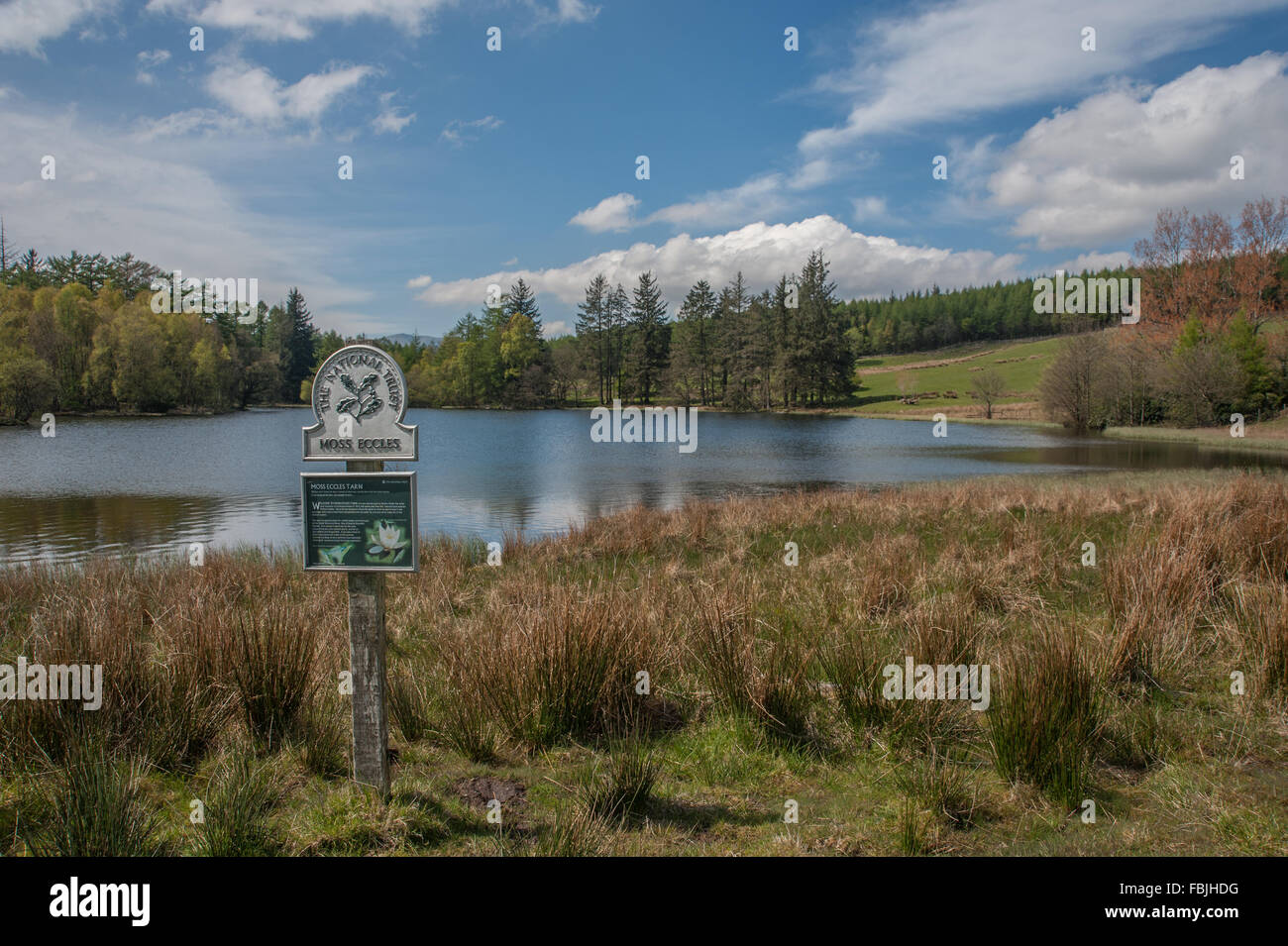 Moss Eccles Tarn near Far Sawrey Cumbria Stock Photo Alamy