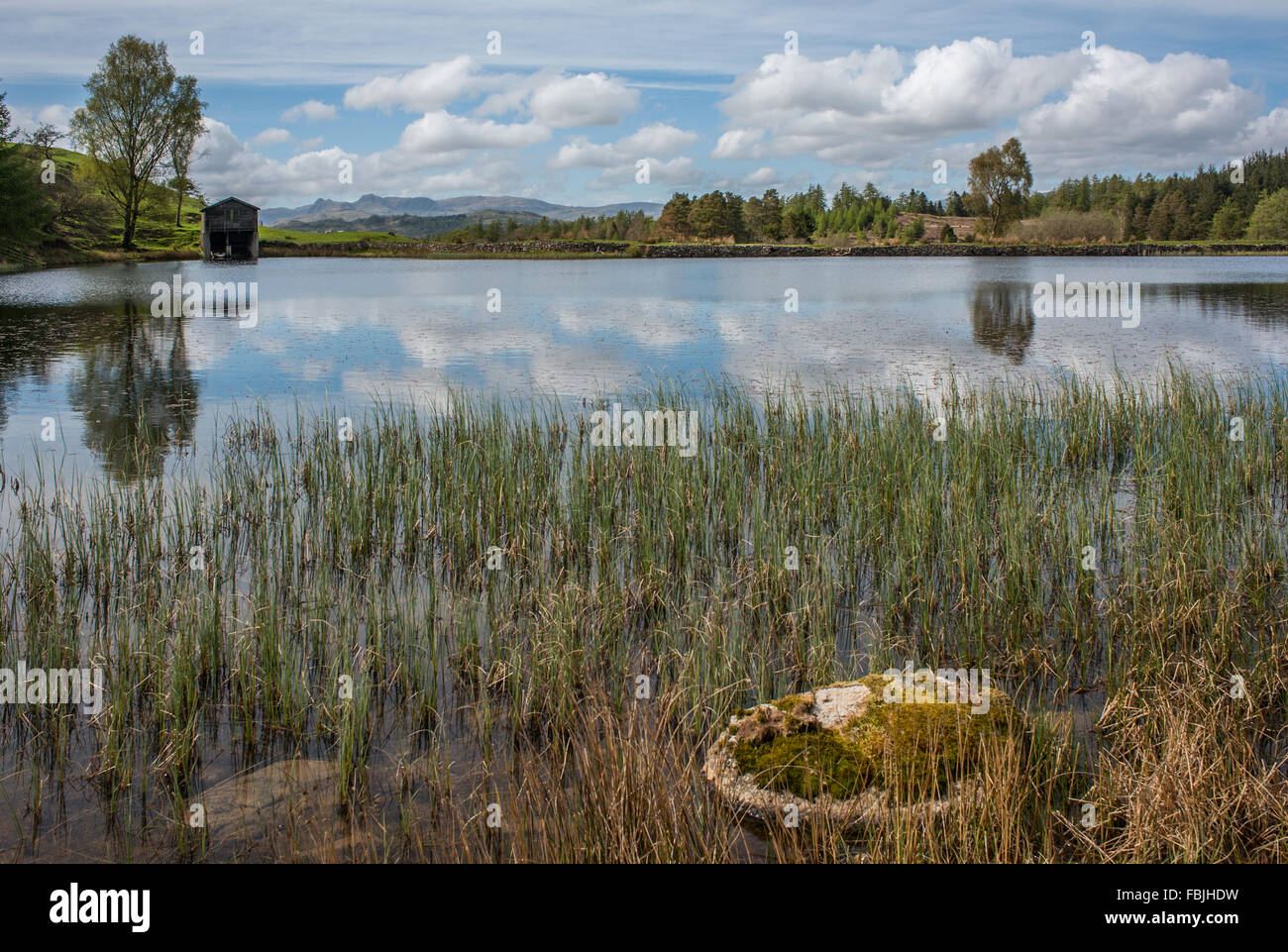 Wise Een Tarn Claife Far Sawrey Cumbria Stock Photo