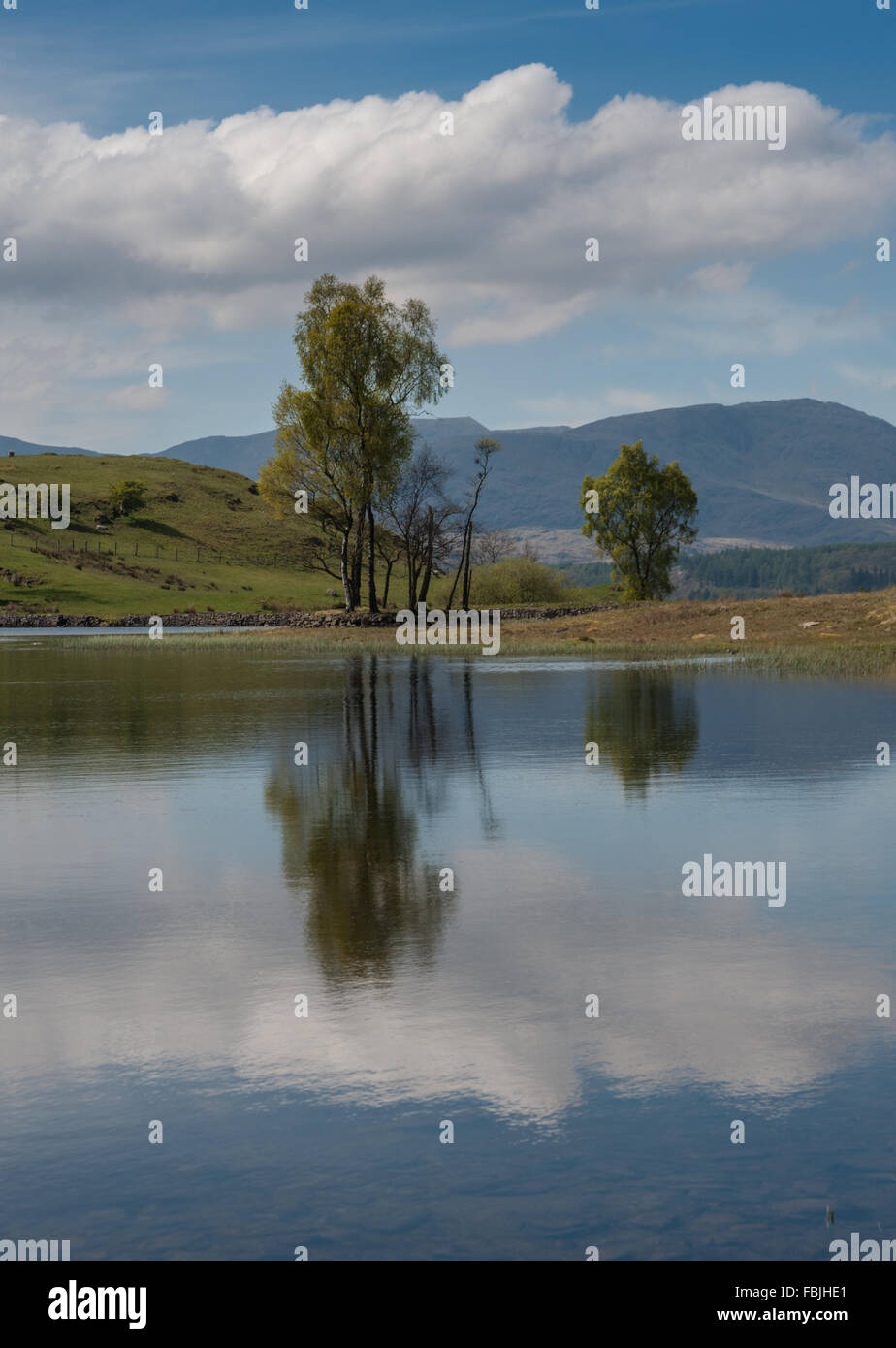 Wise Een Tarn on Colthouse Heights Cumbria Stock Photo