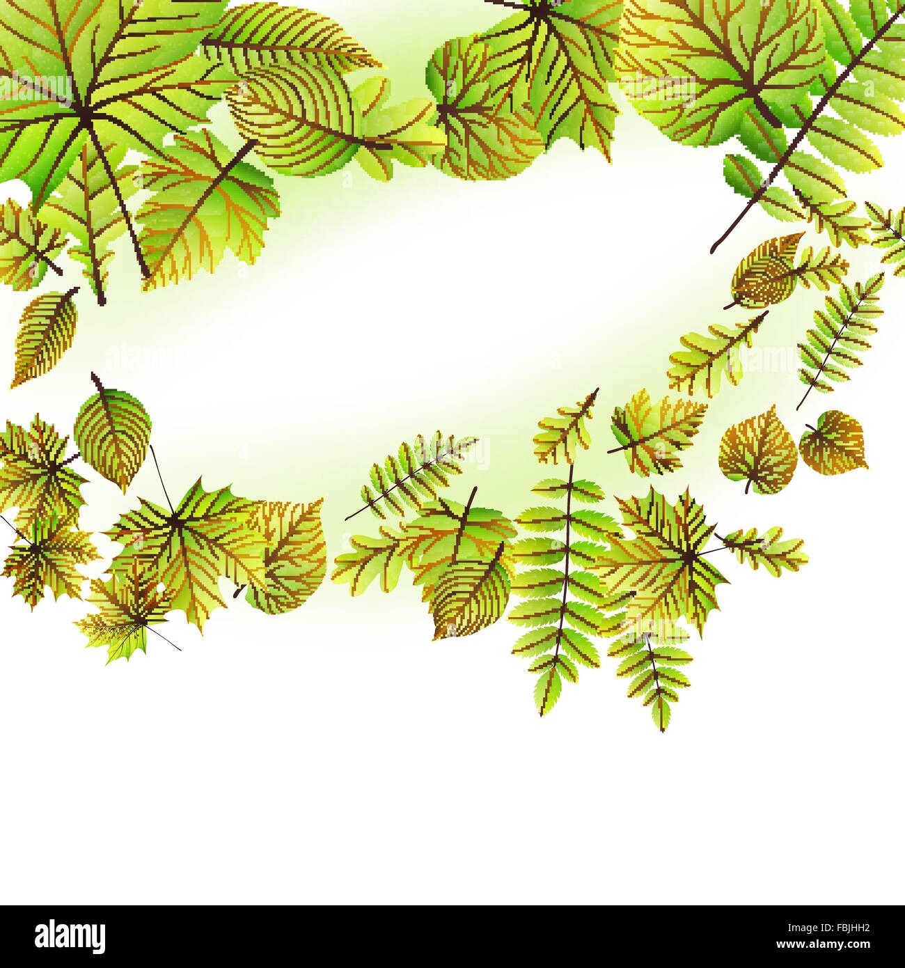 Green leaves frame isolated on white. EPS 10 Stock Vector Image & Art ...