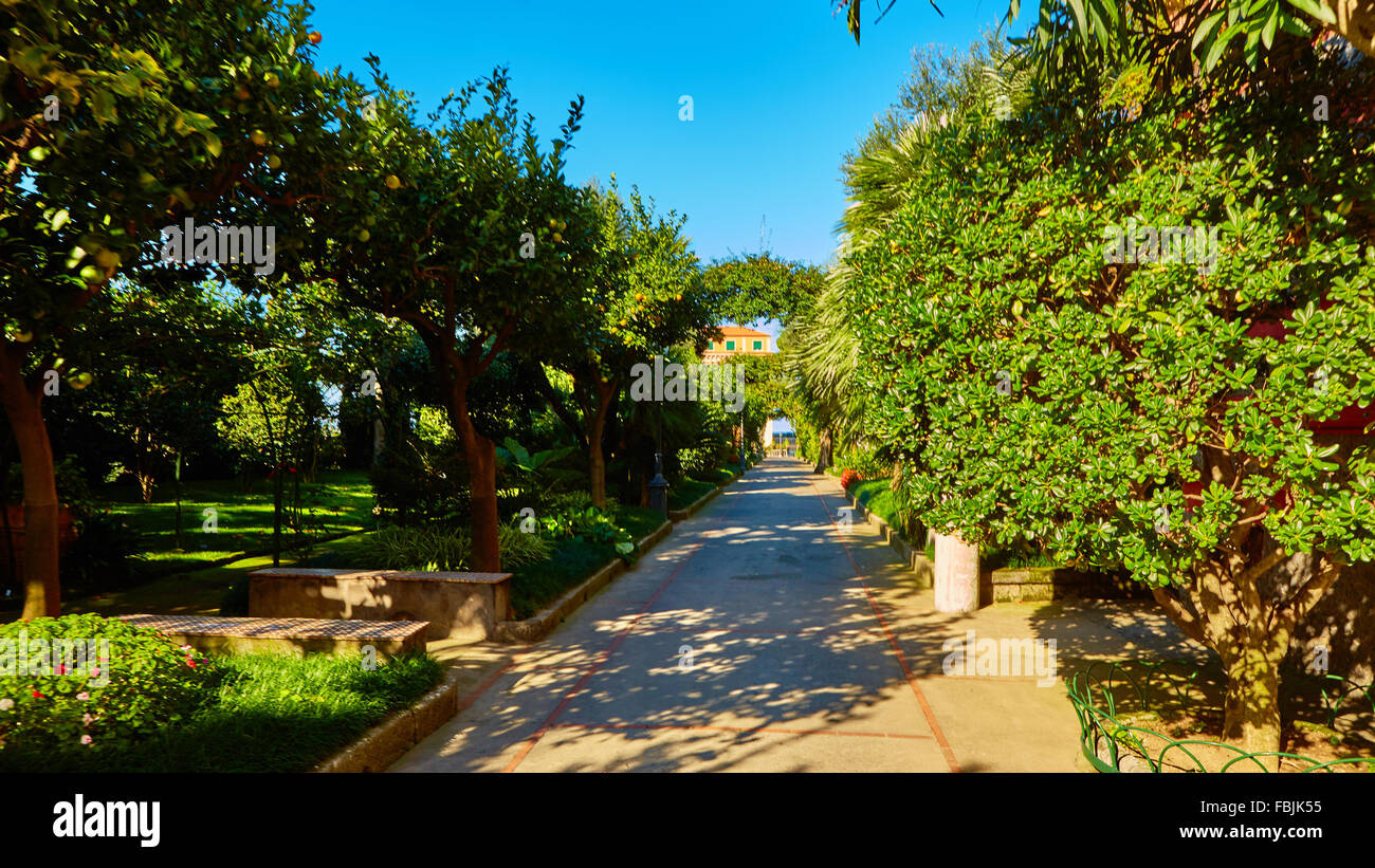 View of Green park in city Stock Photo - Alamy