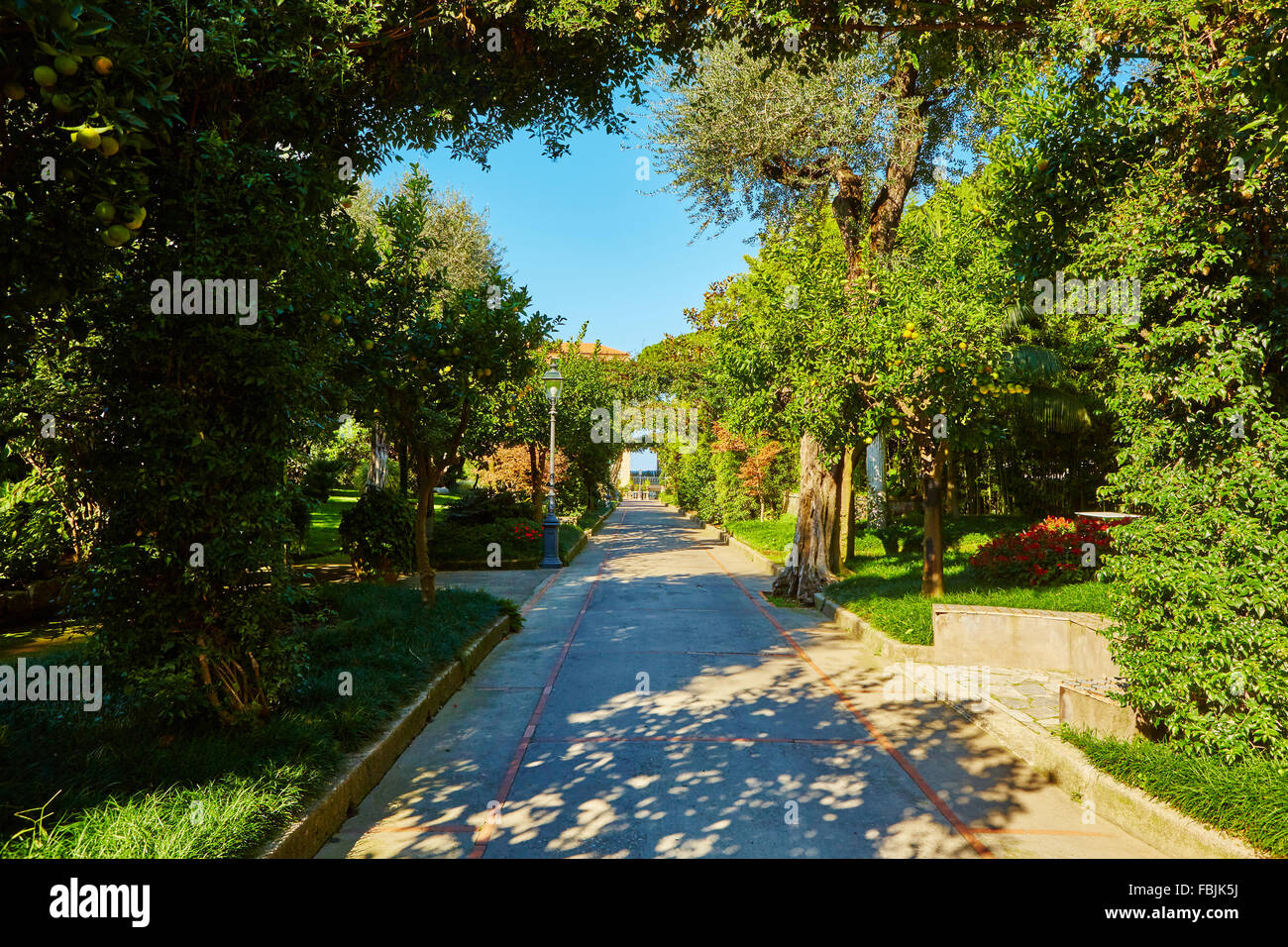View of Green park in city Stock Photo - Alamy
