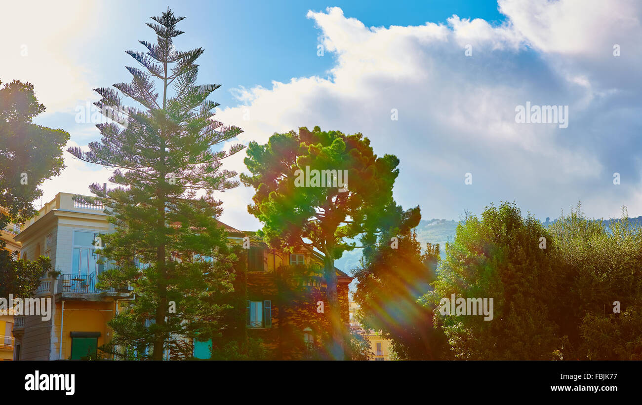 View of Green park in city at summer day Stock Photo - Alamy