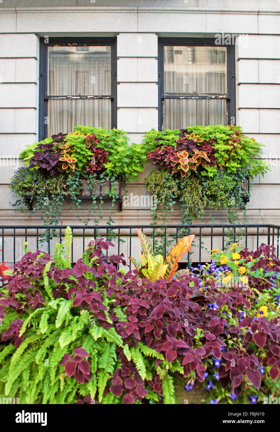 New York, United States of America: flowers and balcony, Upper East Side Stock Photo