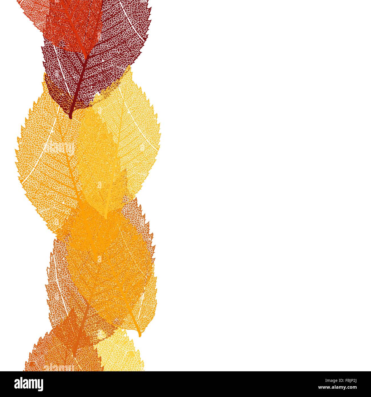 Dry autumn leaves template. EPS 10 Stock Vector Image & Art - Alamy