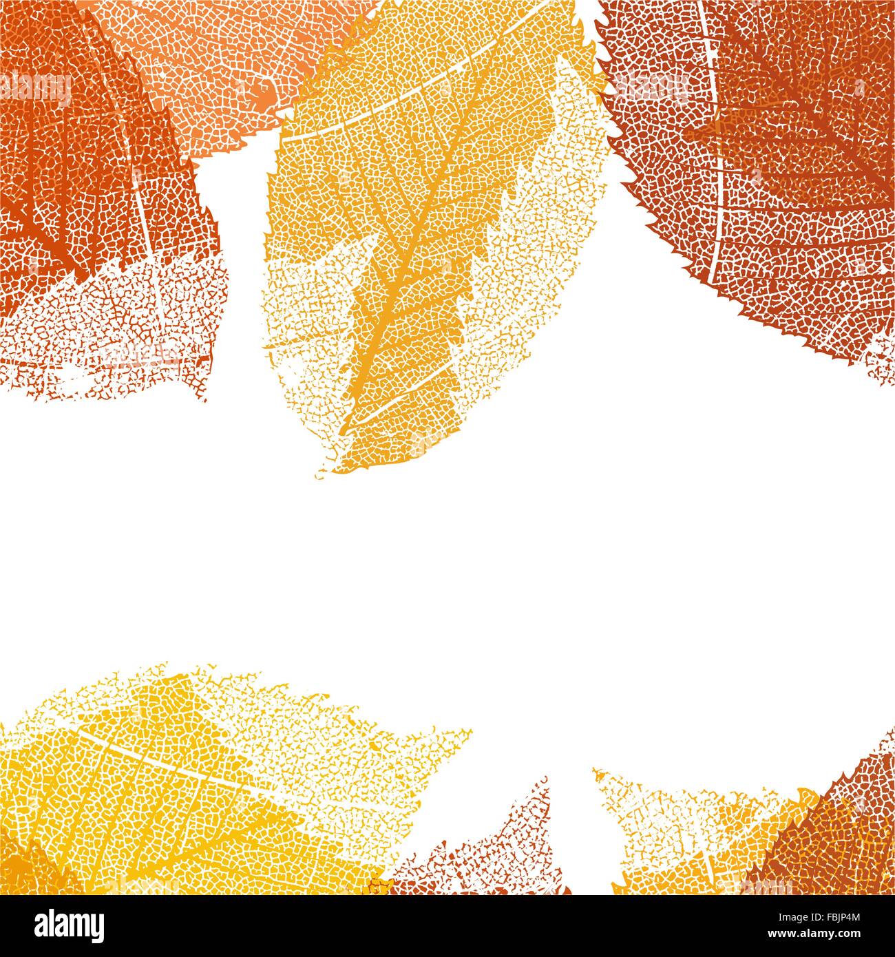 Dry autumn leaves template. EPS 10 Stock Vector Image & Art - Alamy